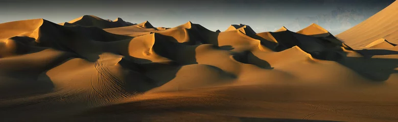 Keuken foto achterwand Woestijnlandschap woestijn