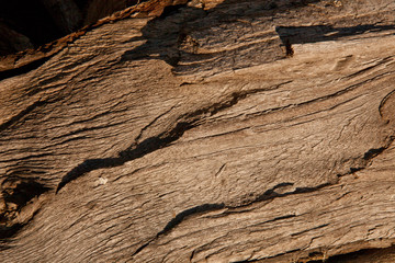 Texture legno