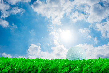 Obraz na płótnie Canvas Golf ball on grass