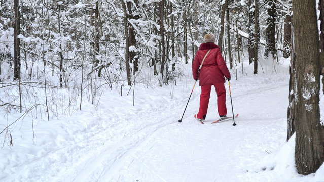 Walk to ski in the woods or the park