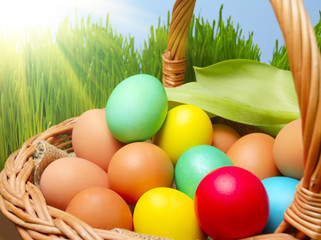 basket with easter eggs in the sun
