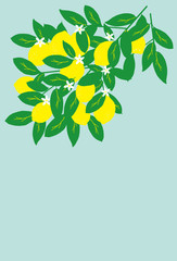 Vector illustration of the lemon