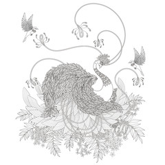 elegant swan coloring page