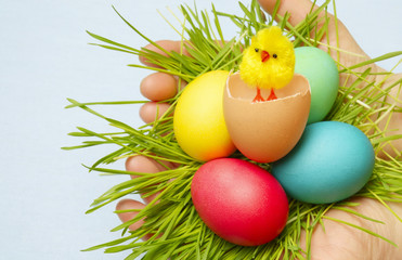 Easter eggs in a bird's nest