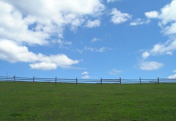 Green meadow and blue sky.