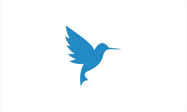 Blue Humingbird