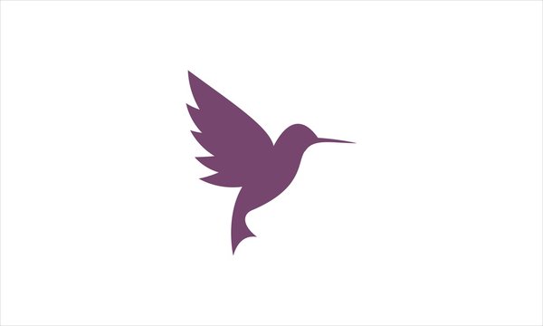 Violet Humingbird