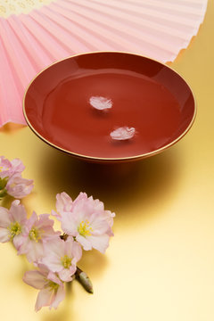 杯　扇子　桜