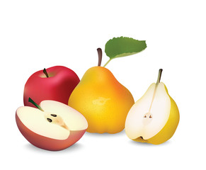 Apple and pear for your design