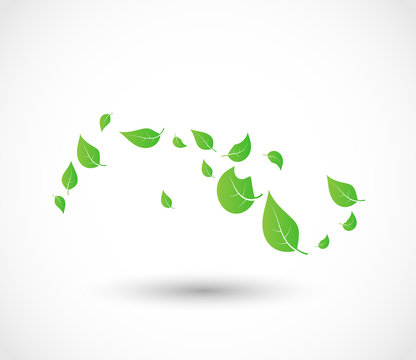 Green leaves flying with the wind vector