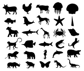 All things in the world vector set 1 , animal , bug , dinosaur