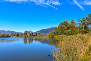 Fototapeta na wymiar Un lago in mezzo alla palude