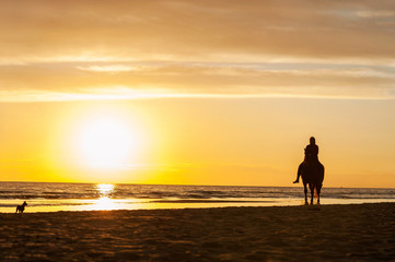 Fototapeta na wymiar Horseriding at the beach on sunset background. Multicolored outd
