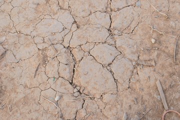 dried ground covered with cracks.