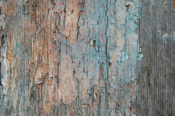 Cracked paint on a wooden wall
