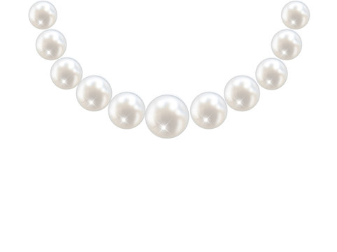 Pearl necklace isolated vector