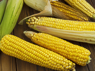 fresh juicy corn