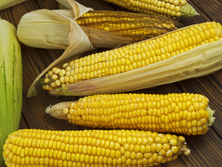 fresh juicy corn