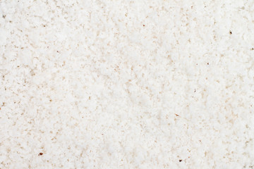 detatiled texture of shredded coconut