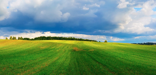 Summer landscape. Sky with cumulus clouds and hilly field of green grass. Sunny day in the countryside. Panoramic shot.