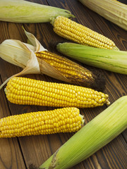 fresh juicy corn