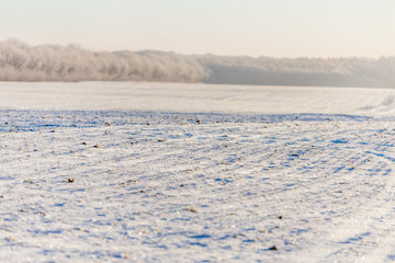 winter in Mecklenburg