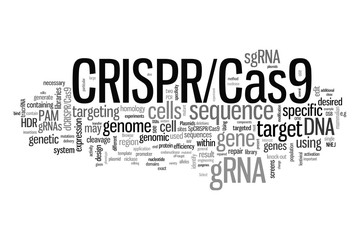 CRISPR/Cas9 system for editing, regulating and targeting genomes (biotechnology and genetic engineering) word cloud