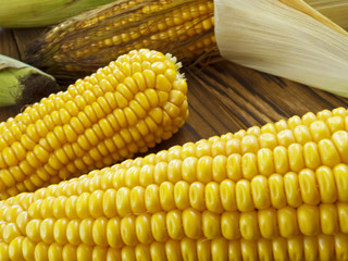 fresh juicy corn