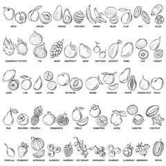 Fotobehang Hand drawn vector set of fruits and berries vintage illustrations. © chelovector