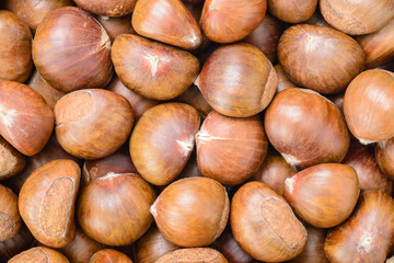 chestnuts