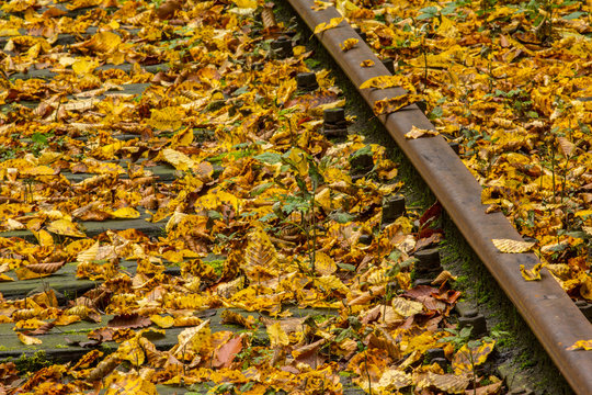 Bahngleise im Herbst