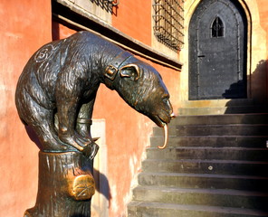 Obraz premium Breslau - Brunnenbär in der Altstadt