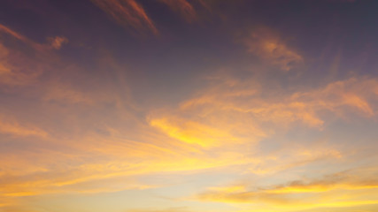 Golden light of morning