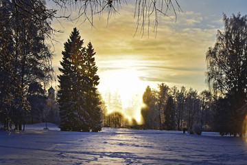 Evening Snow Park in winter