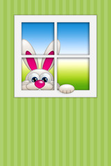 easter bunny looking by the window