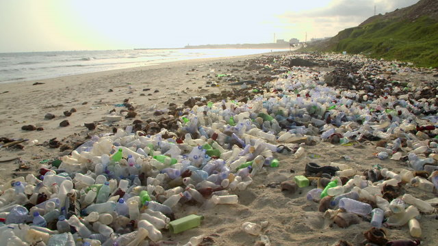 masses of plastic bottles pollute a beach
