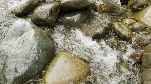 Water Flowing Slow Motion Over Rocks in Forest River