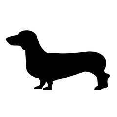 Daschund vector icon.