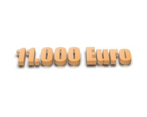 11.000 Euro 3D wort