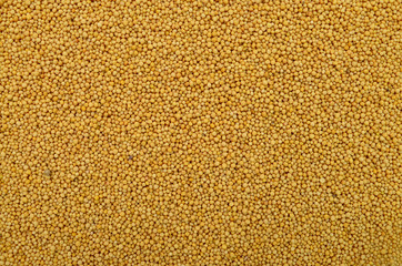 mustard seeds texture