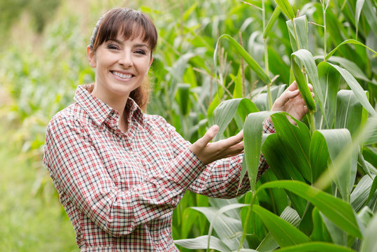 Young farmer checking plants in the field