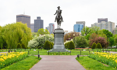 Boston Common - obrazy, fototapety, plakaty