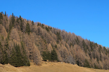 Fototapeta na wymiar Dolomites mountains in Italy