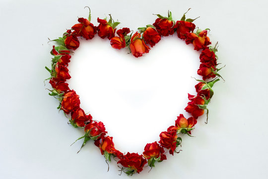 Image of Heart-shaped red roses on blue-white background