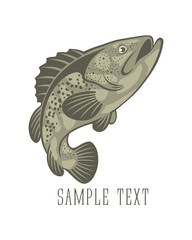 Fototapeta premium fish perch
