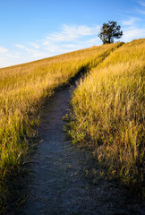 Obraz premium Theodore Roosevelt National Park,