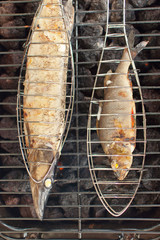 Fisch, grillen