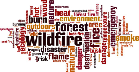 Wildfire word cloud concept. Vector illustration