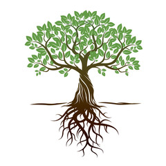 Obraz premium Drzewo kolorów i korzenie. Ilustracji wektorowych.