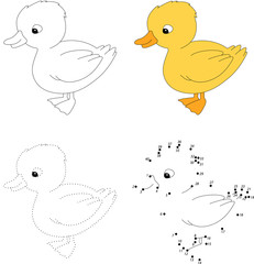 Cartoon duckling. Vector illustration. Dot to dot game for kids